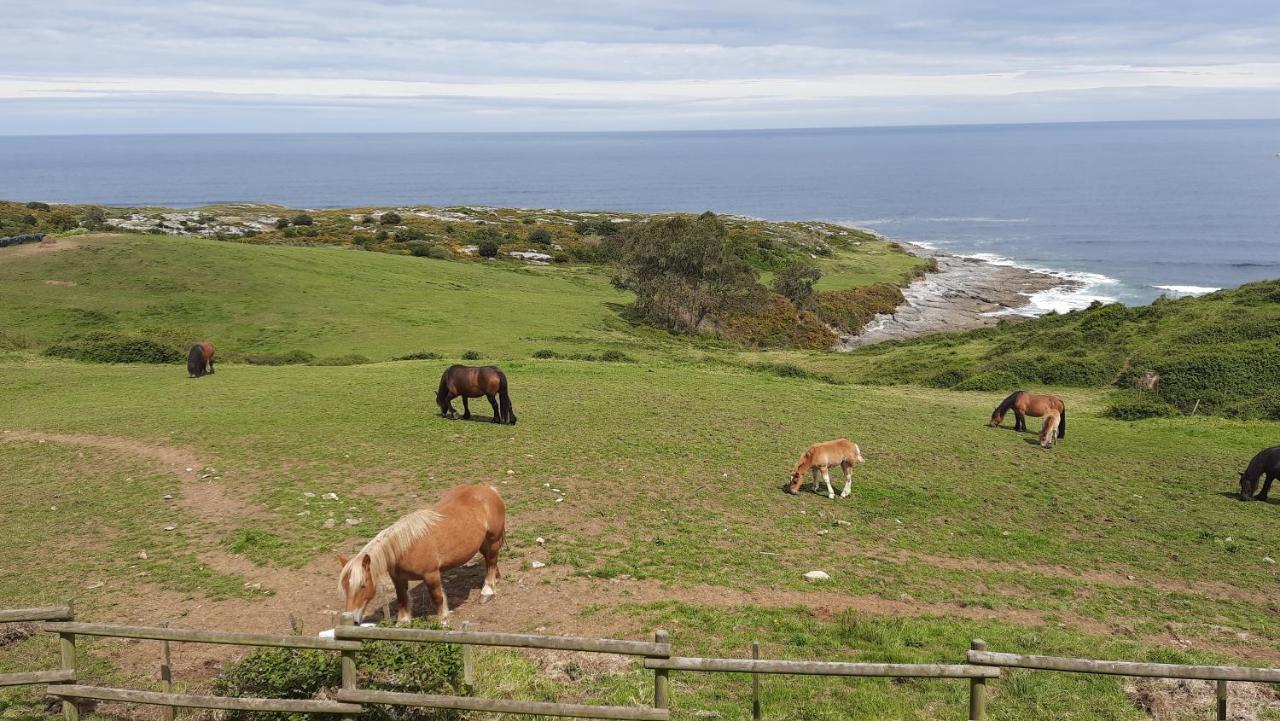 Posada Punta Liñera Hotel San Vicente De La Barquera Bagian luar foto